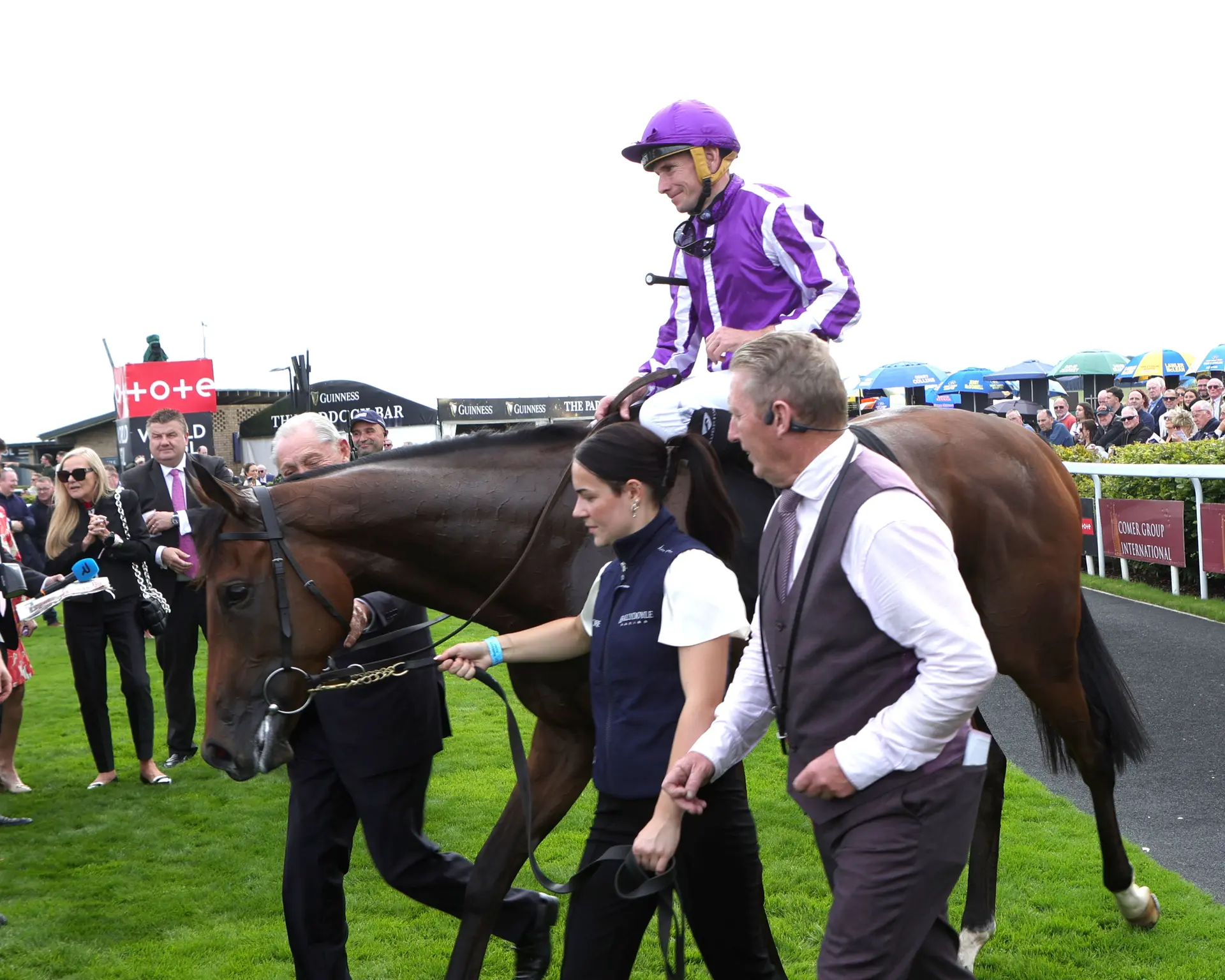 Ireland: Breeders' Cup possibles show off winning forms