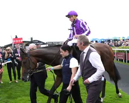 Ireland: Breeders' Cup possibles show off winning forms