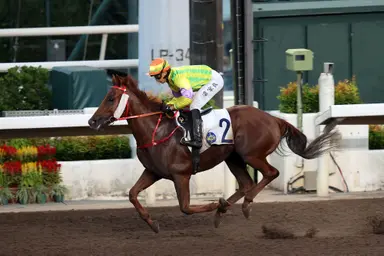 Frankie Lor breaks through with Sha Tin double