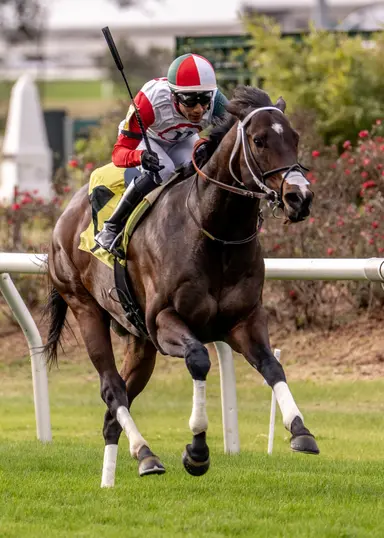 Usually Wrong powers to track record in Duncan Kenner