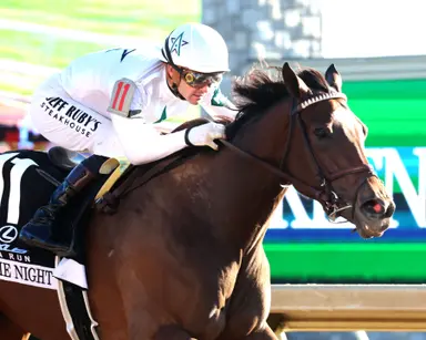 Movie Night becomes stakes winner with Raven Run