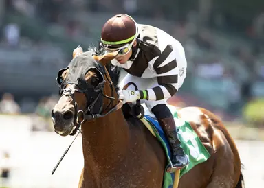 Big City Lights tries downhill turf in California Flag Handicap