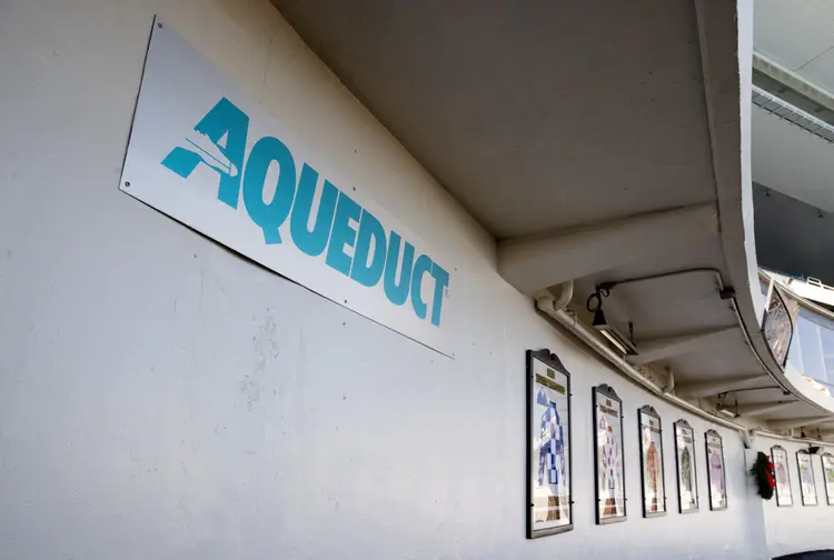 Aqueduct04.Scenic.12-7-24.BL_.jpg