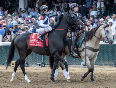Fleetfoot could provide value in Belmont Gold Cup
