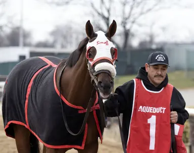 Simoff confident Jumping the Gun will fire fresh in Weber City Miss