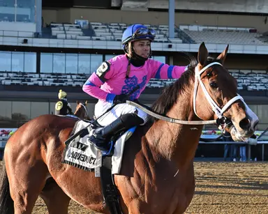 An inexperienced Gotham field boasts betting intrigue