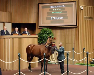 Keeneland November sale: Book 2 closes with double-digit gains