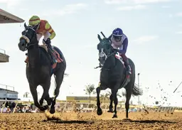 Daytona Diamond overcomes brutal start to take Generous Portion
