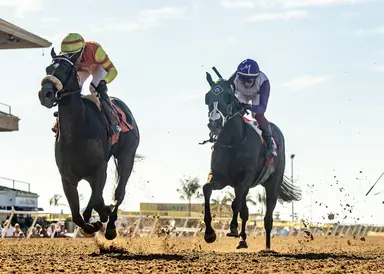 Daytona Diamond overcomes brutal start to take Generous Portion