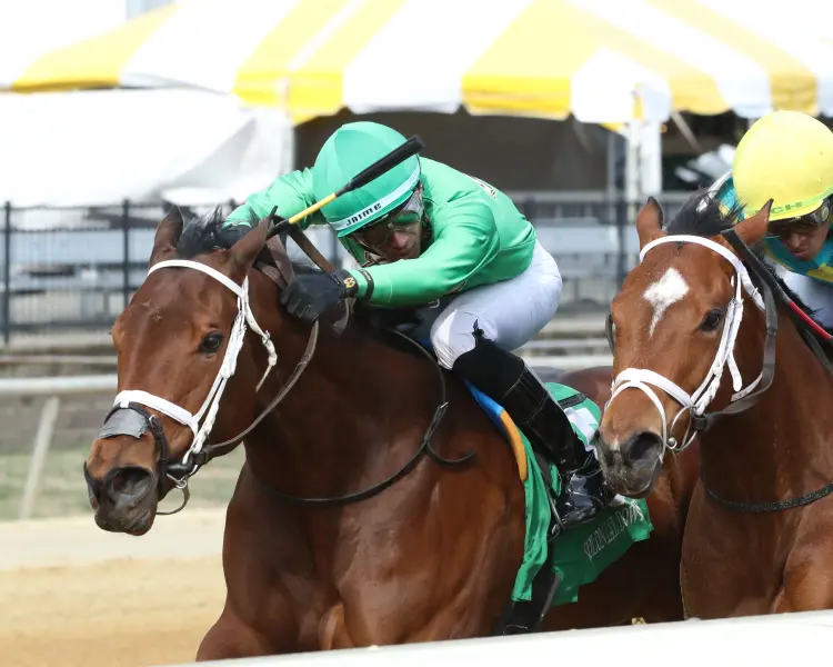 CONQUERTHOSEWECAN - The Stellar Wind Handicap - 03-13-26 - R07 - Colonial Downs - Inside Finish 01.jpg