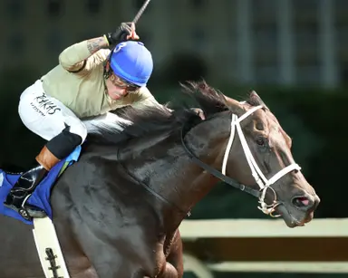 Teachintherelease odds-on to repeat in Sam Huff Breeders' Classic