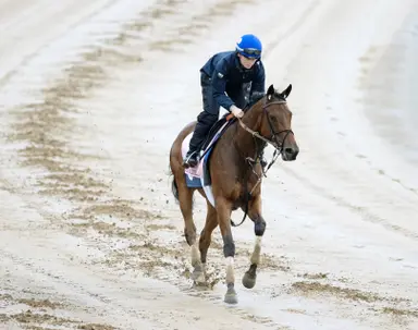 Kentucky Oaks: Bella Ballerina scratched, Resist gets in