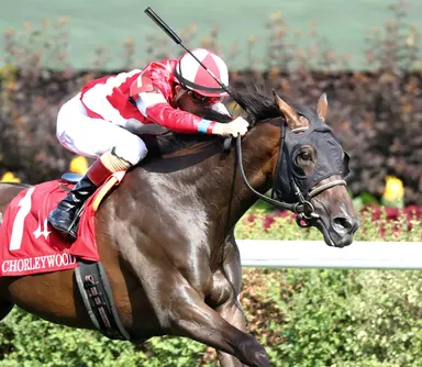Weekend GamePlan: Picks for Arlington Million, Jim Dandy, Clement Hirsch