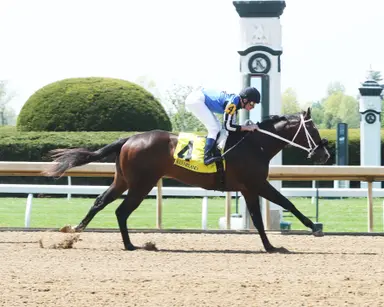 Commissioner Dan, at $500K, leads Keeneland April all-ages sale