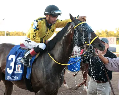 Back-to-back stakes winner Quarry in midst of break