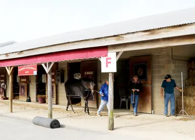 Bad weather, breakdown complicate Fasig-Tipton breeze show