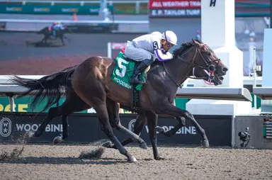 Uncle Dodo edges Titan Ready in Victoria Stakes