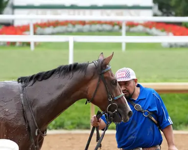 Percy's Bar turns in bullet work toward Kentucky Oaks