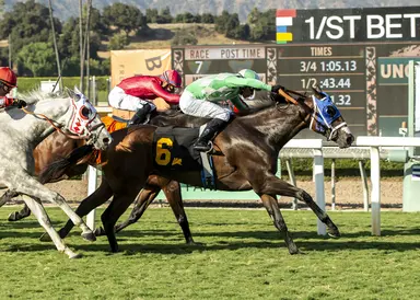 Old pros try to get back in win column in California Dreamin'