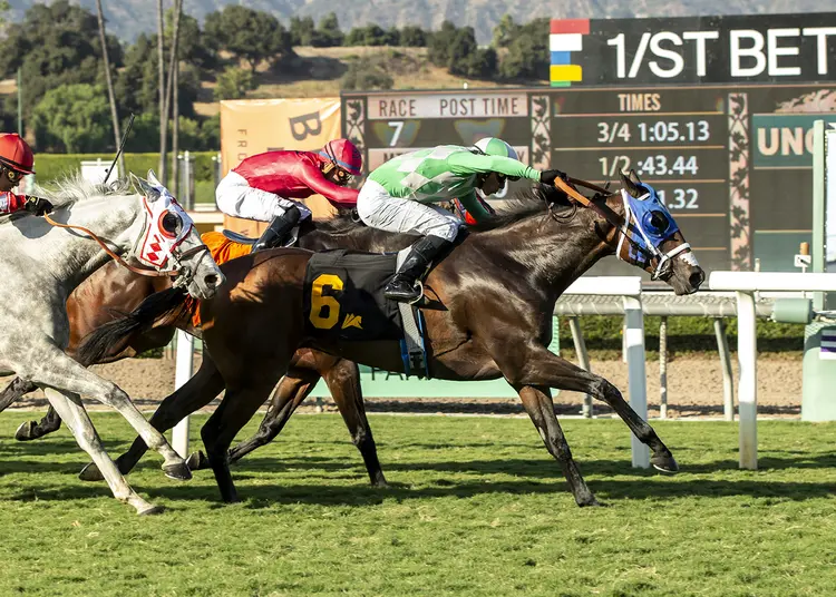 On the Whim a1 200.jpg