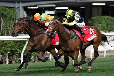 Harry Bentley notches Happy Valley double as Danny Shum shines with a brace