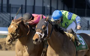 Bold Journey flies late to upset the Tom Fool