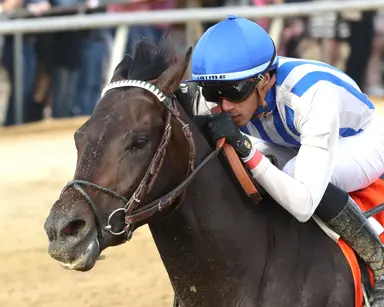 Kentucky Derby: Who's hot, who's not for March 18, 2026