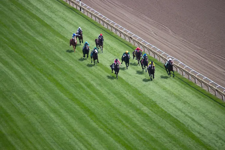 Woodbine Scenic02.07-23-23.JUW_.jpg
