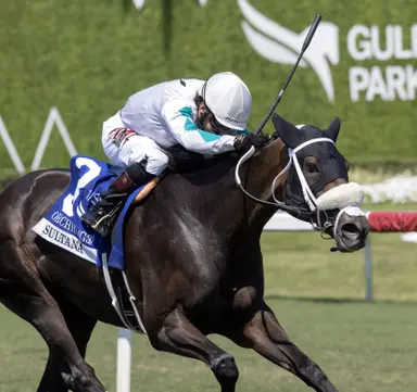 Sultana steps up in final strides of Orchid Stakes