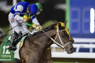 Senor Buscador will stand at Lane's End Farm