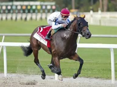 Kentucky Derby: Who's hot, who's not for March 12, 2025