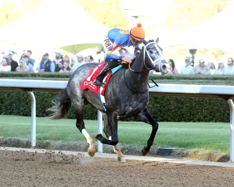 HAULIN ICE  - The DownTheDustyRoad Breeders' Stakes - 17th Running - 03-01-25 - R09 - Oaklawn Park - Finish 03 - McCarlee Perkins.jpg