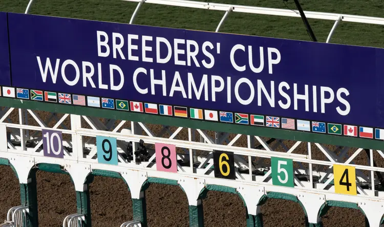 Breeders' Cup.Scenic.11-1-24.JNL_.jpg
