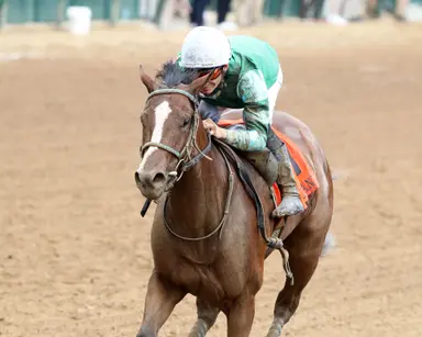 Weekend GamePlan: Picks for Nashville Derby, Spinaway, Flower Bowl
