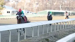 Mailata romps in scratch-reduced Future Stars at Parx