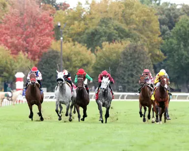 DRF's Horse Racing Playbook for Wednesday, October 18, 2023
