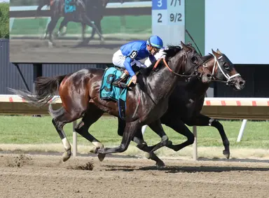 East Avenue gets nose down over Bishops Bay to take Salvator Mile