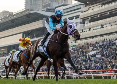 Declan Schuster's Hong Kong Selections and Analysis for Sunday, October 1, 2023