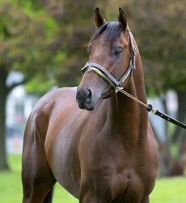 Canadian stallions: Sergei Prokofiev a big addition