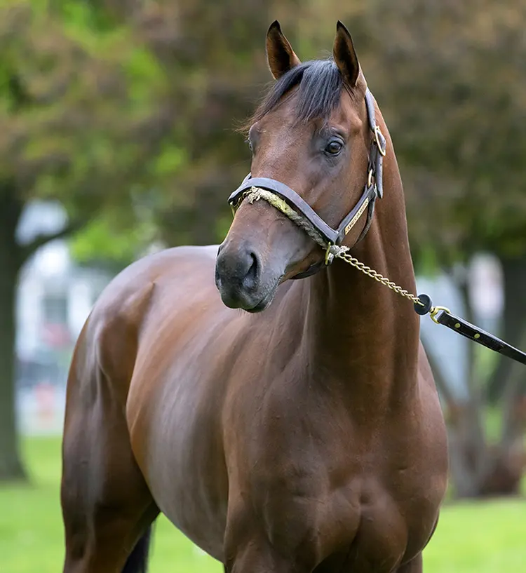 Avie's Flatter on April 28