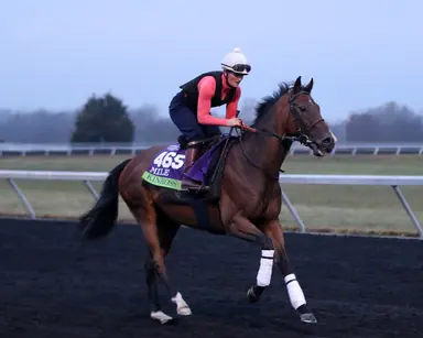 Prix de l'Opera likely to provide runners for BC Filly-Mare Turf