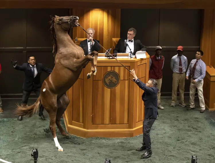 Hip 165.Curlin - Beholder03.8-8-23.BL_.jpg