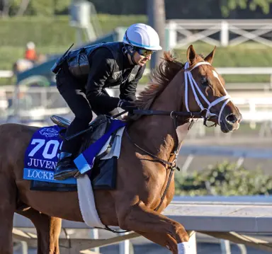 'All others' 4-5 favorite in Pool 1 of Kentucky Derby Future Wager