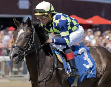 Breeders' Cup-bound Iron Orchard sells for $2.5 million at F-T digital sale