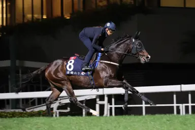 Golden Sixty has obstacles to overcome in bid for third Hong Kong Mile win