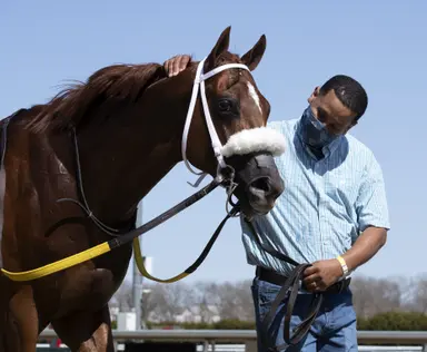 Drain the Clock poised to strike at OBS March