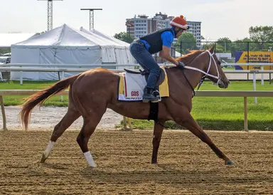 2023 Preakness: Mage will be only Derby runner to compete in Preakness