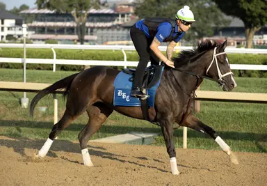 Margie's Intention hopes to repeat Maryland success
