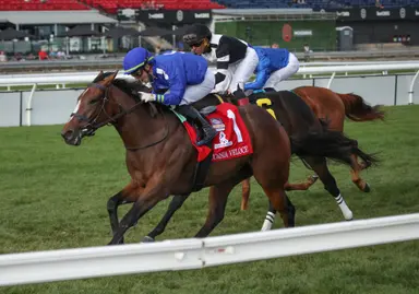 Corsia Veloce gets Woodbine Oaks prep in Fury Stakes