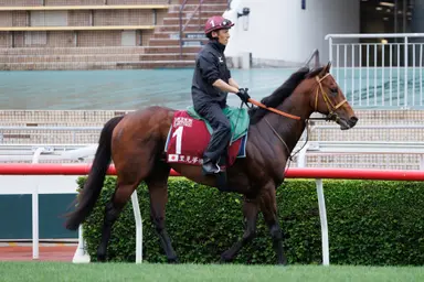 Japan: Satono Reve meets some familiar faces in Sprinters Stakes